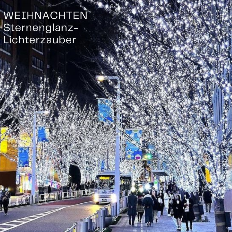 ✨ LETZTER TAG VERKAUF 50% RABATT!!! ✨ Sternenglanz-Lichterzauber
